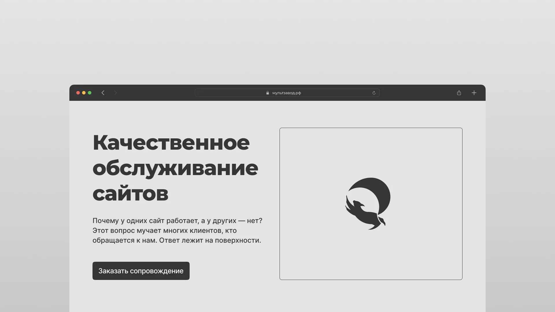 Комплексное сопровождение сайтов в Андреаполе