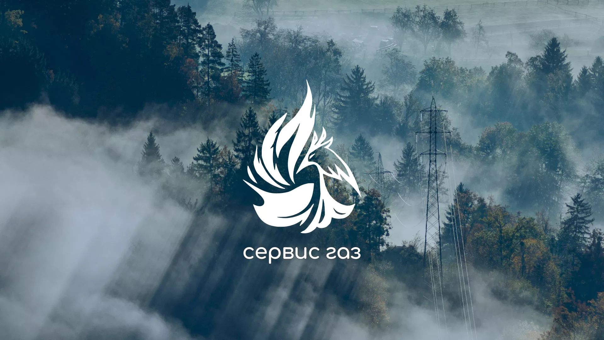 Создание сайта компании «Сервис газ» в Андреаполе