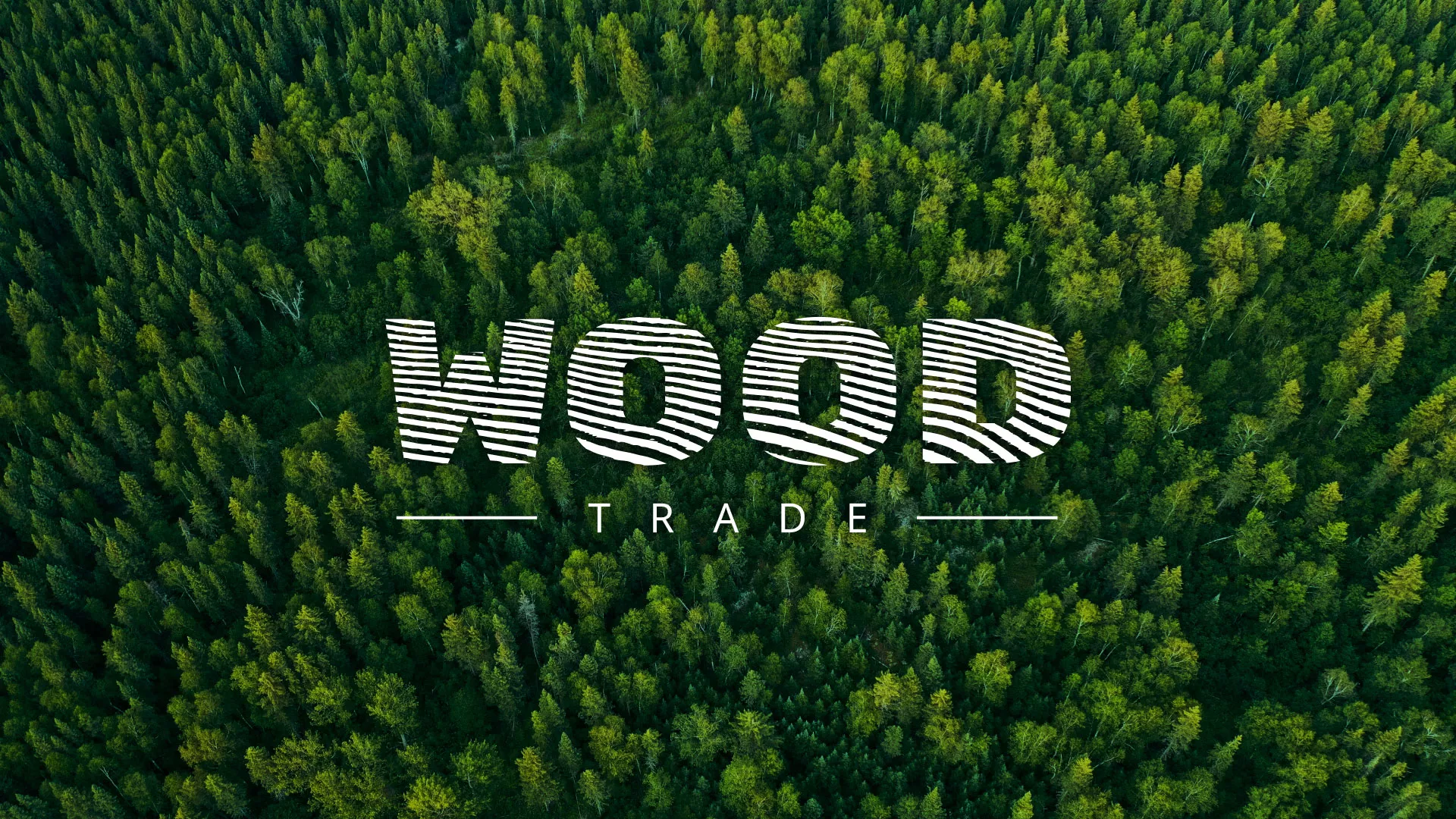 Разработка интернет-магазина компании «Wood Trade» в Андреаполе